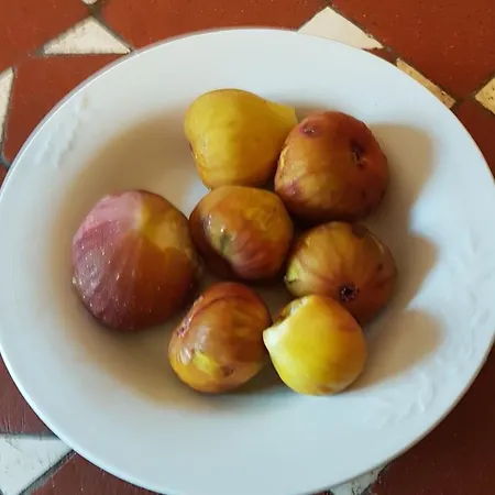 La Casa Degli Artisti Monte Porzio Catone