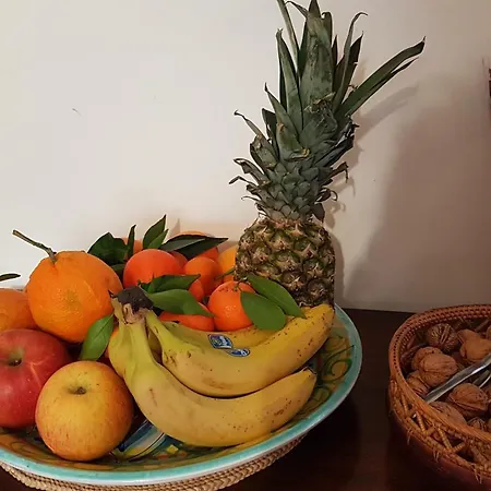 La Casa Degli Artisti Monte Porzio Catone